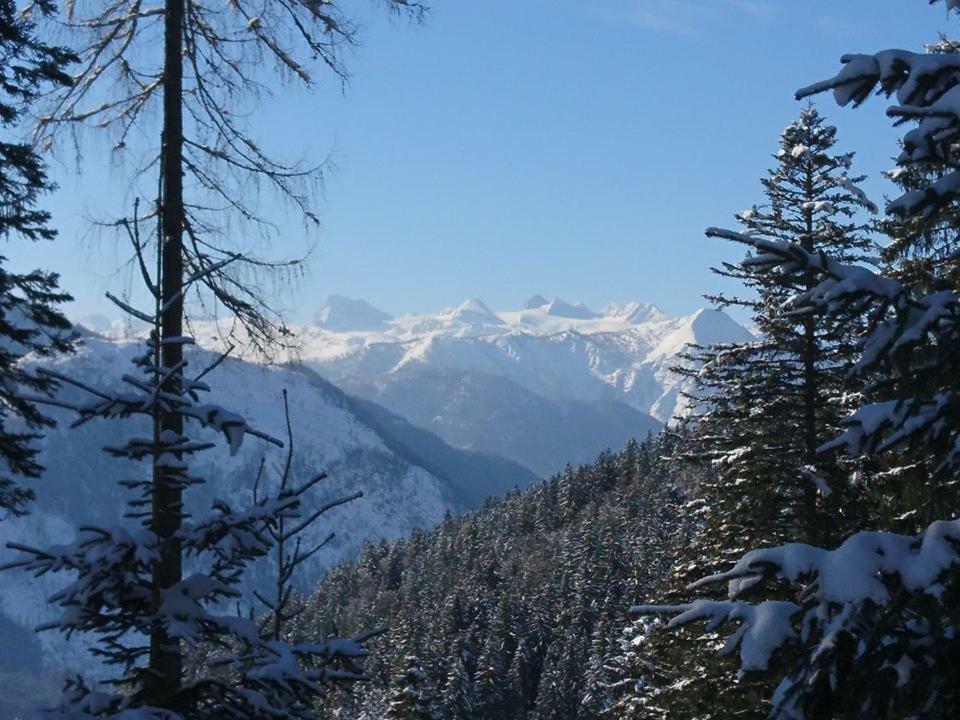 Sportpension Schober Обертраун Экстерьер фото