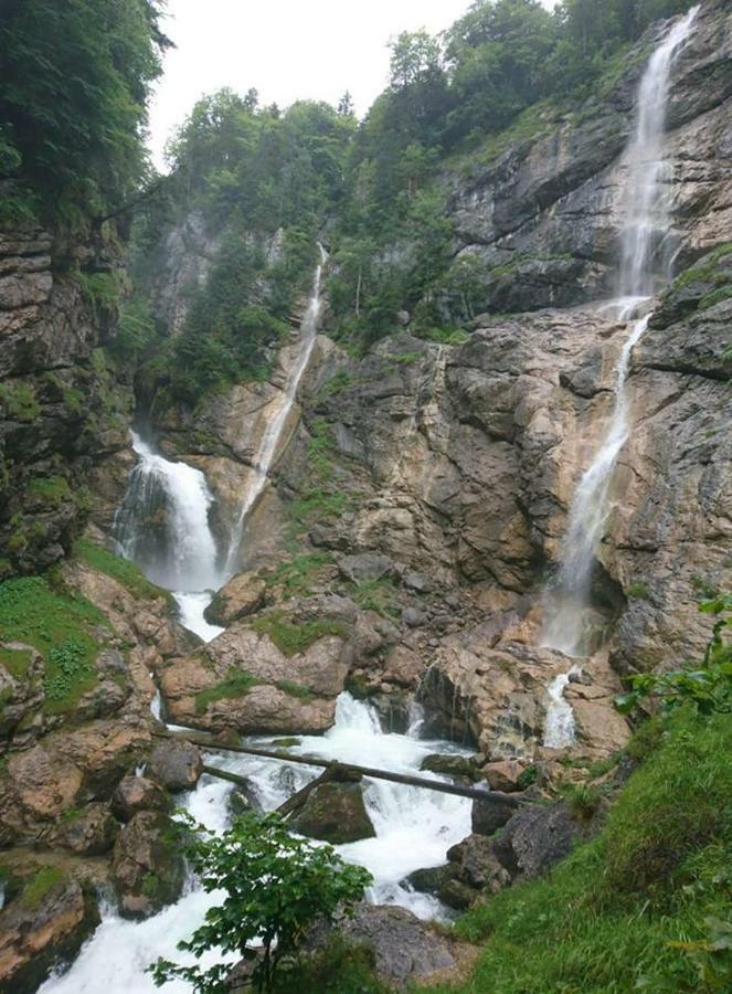 Sportpension Schober Обертраун Экстерьер фото