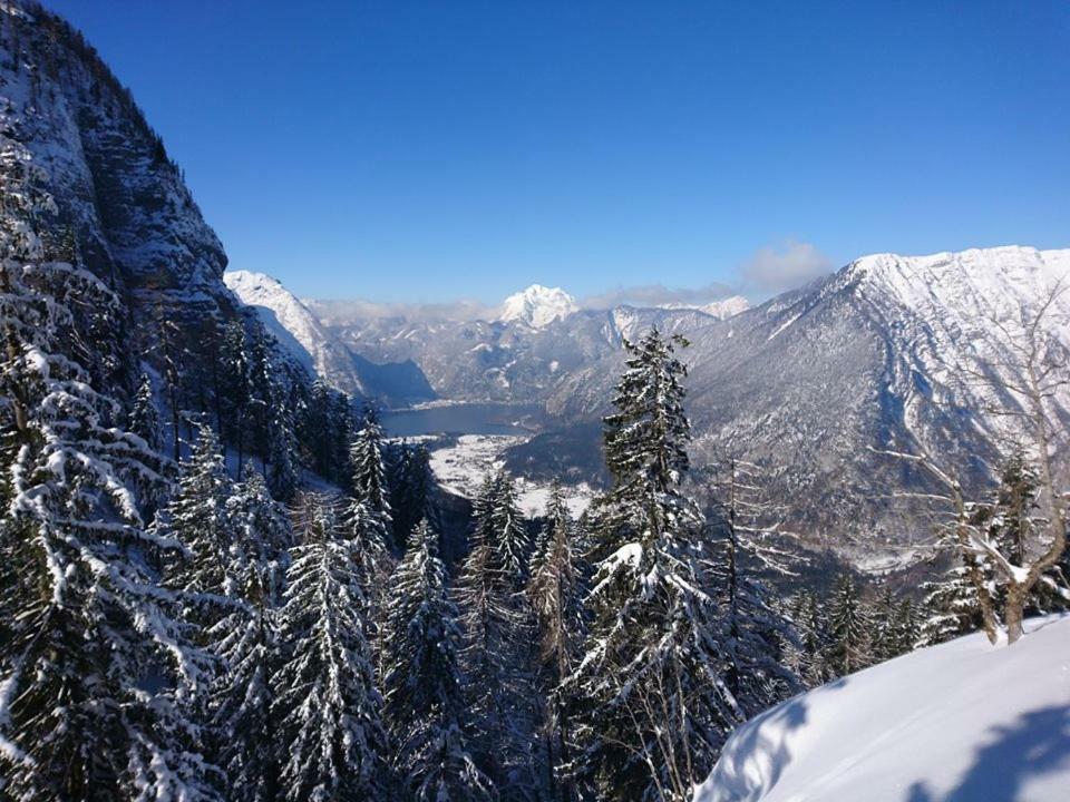 Sportpension Schober Обертраун Экстерьер фото
